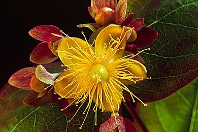 科学ADV《匿名代码》发布人物档案#3宣传片